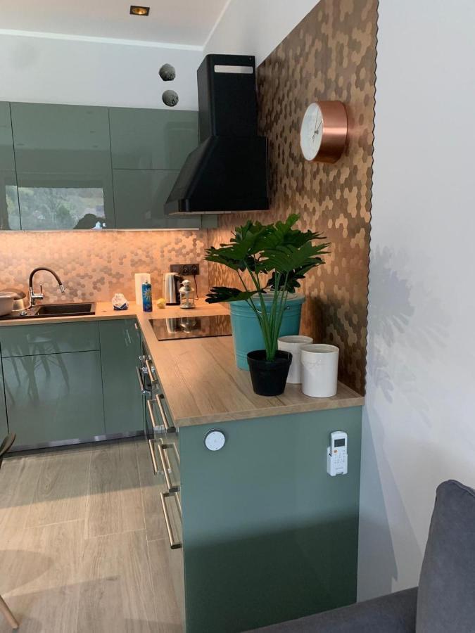Miedziany Apartment *