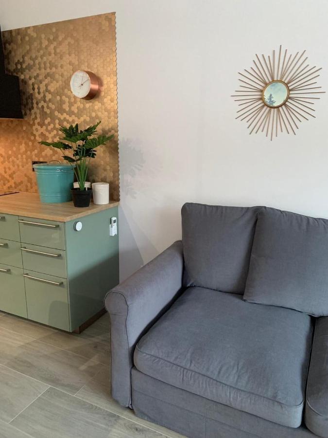 Miedziany Apartment *